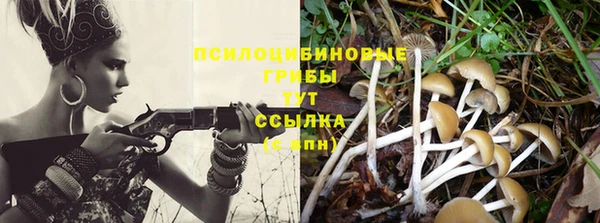 ALPHA-PVP Волоколамск