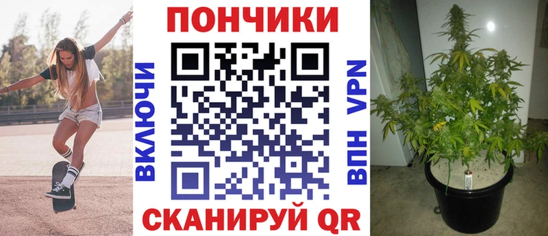 Купить где  Козьмодемьянск  Бошки Шишки White Widow 